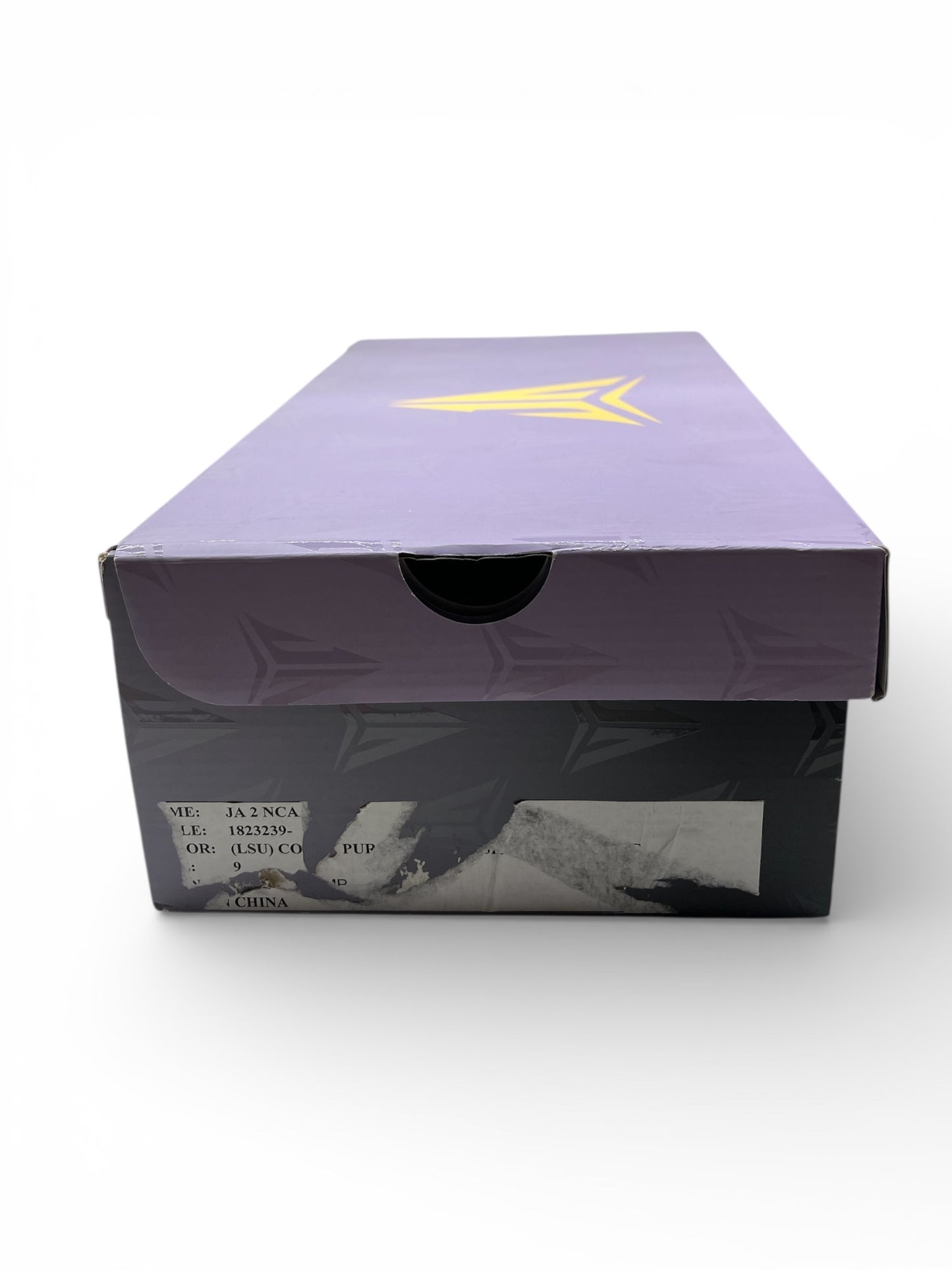 Nike Ja 2 "LSU Tigers" Sample 2024