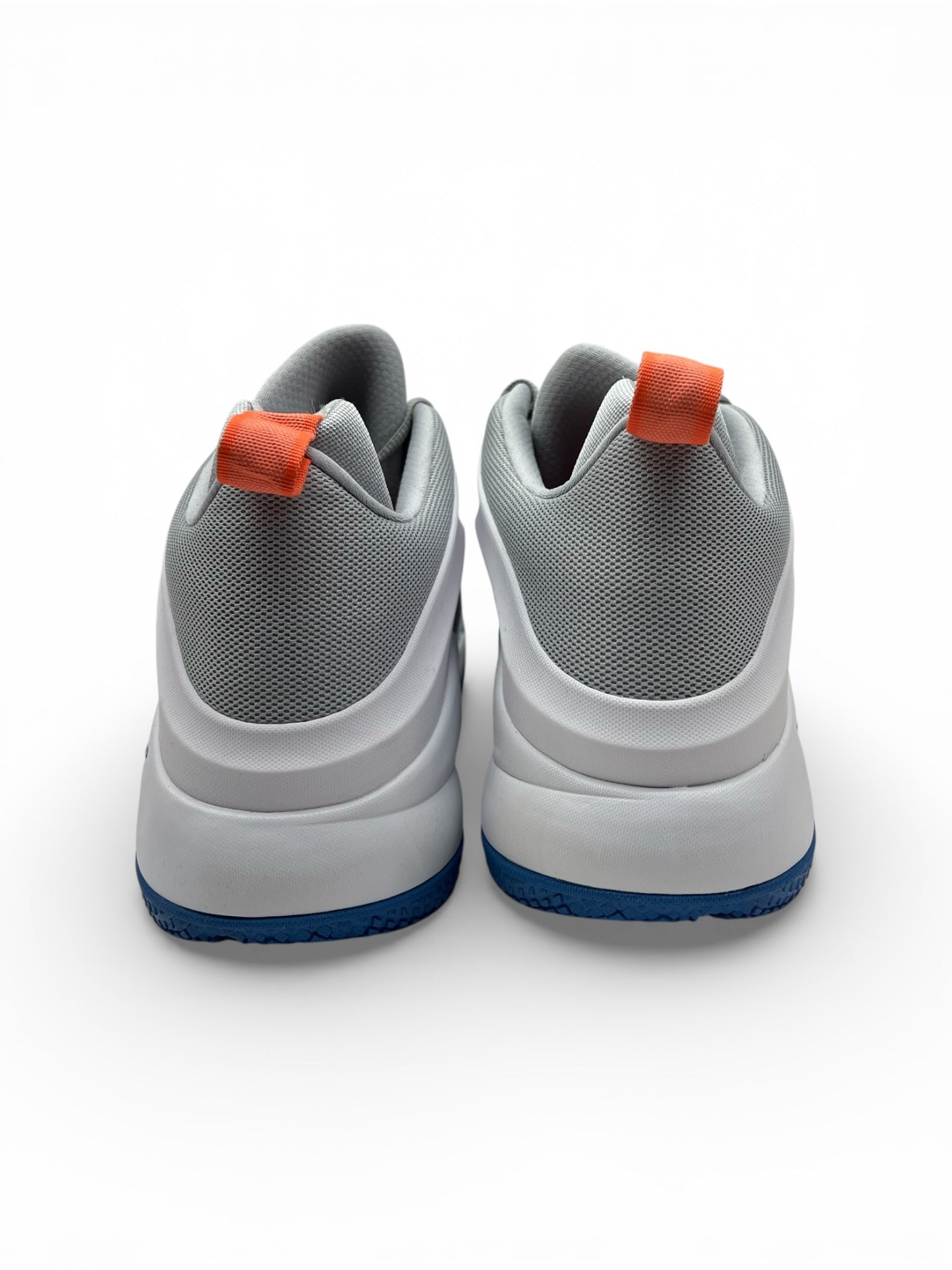 Nike LeBron Zoom Witness “Wolf Grey” 2017