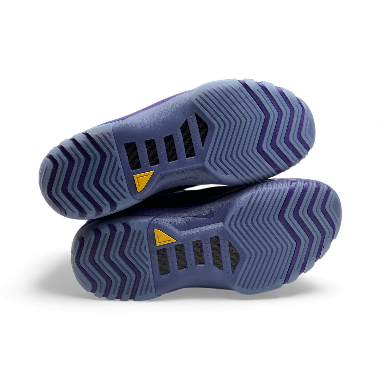 Nike Zoom Generation “Court Purple” 2023