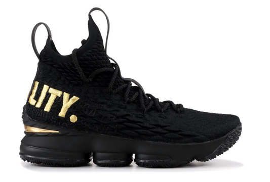 Nike Lebron 15 Mismatch "Equality" Sample 2018
